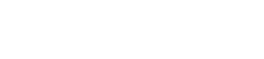 HOLISTIC 高端品质系列 logo